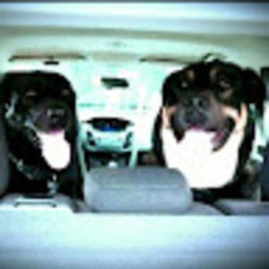 Meet your Posher, Sharon